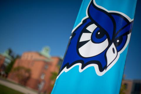 University flag with mascot logo.