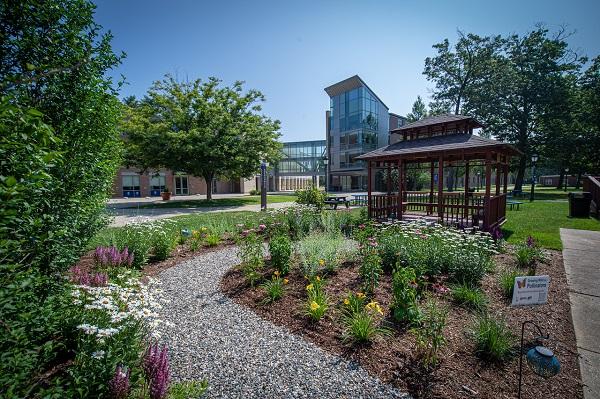 Meditation garden with a pathway of flowers.