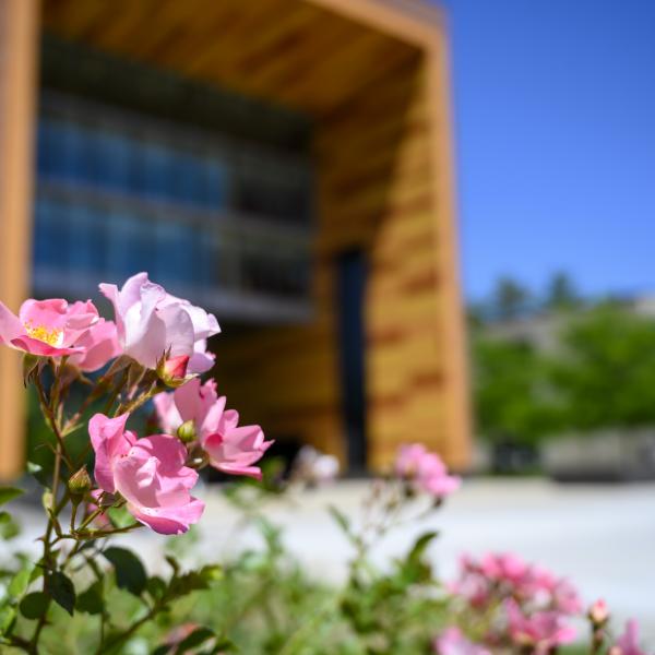 Flowers in bloom in front of University hall