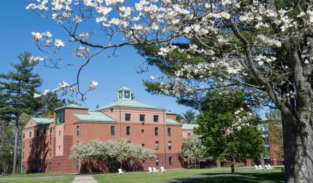 Trees in bloom on the campus green with Courtney Hall in the background