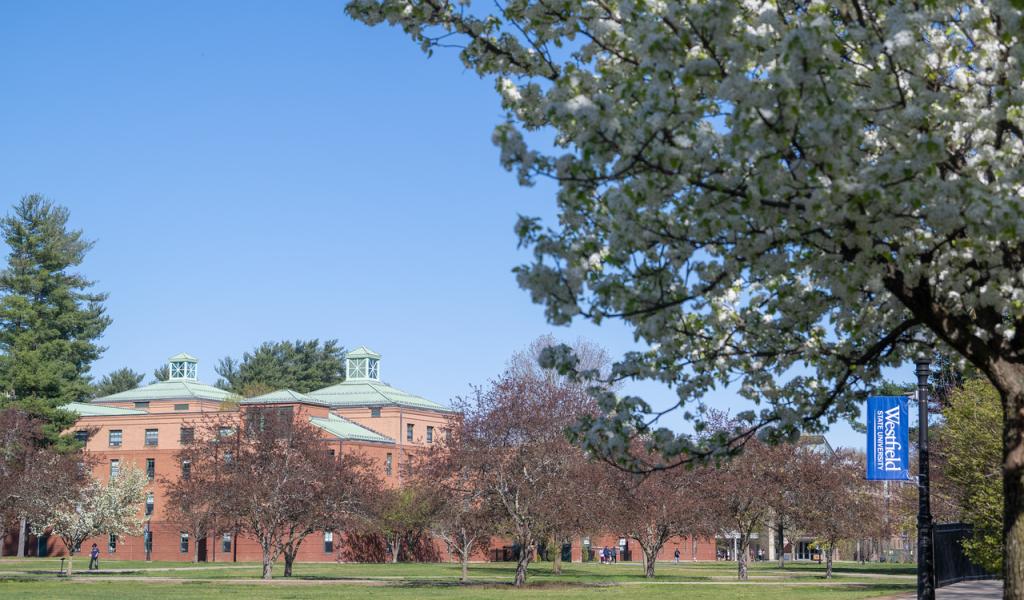 Campus in the spring with flowering trees and a WSU flag hanging from a light post.