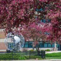 A stock photo of the campus globe. From the angle of the camera, red-flowered trees frame the top part of the globe itself. 