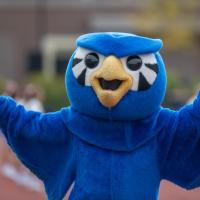 A photo of Nestor the Owl with his hands raised in celebration for the 2024 Family Weekend event! 